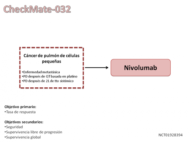 18_Noticia39_1