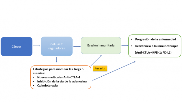 ES_NOTICIA CIENTIFICA_2025_10_28 - Noticia 008 Premio Nobel de Medicina de 2025