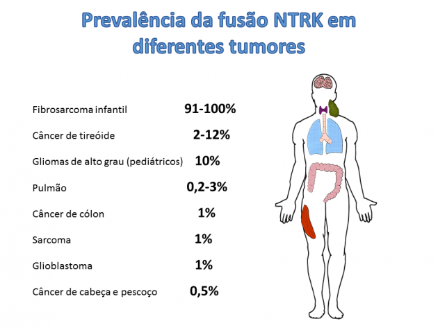 MOC Noticias 83 - Nova terapia alvo aprovada no Brasil para diversos tipos de tumores